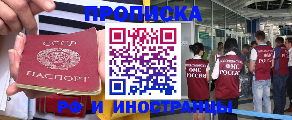 прописка 2025 в Дмитрове