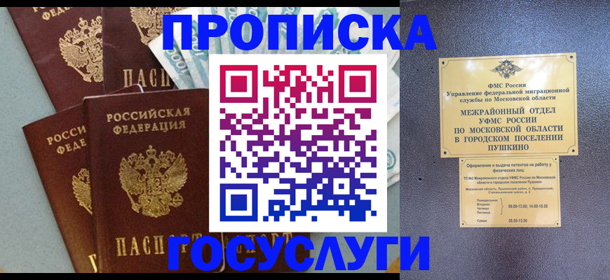 прописка гарантия в Дмитрове